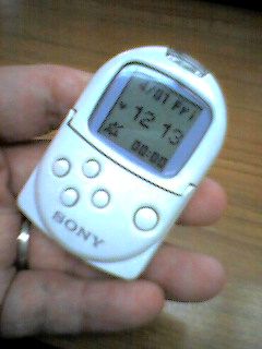 ウソ iPod pocket
